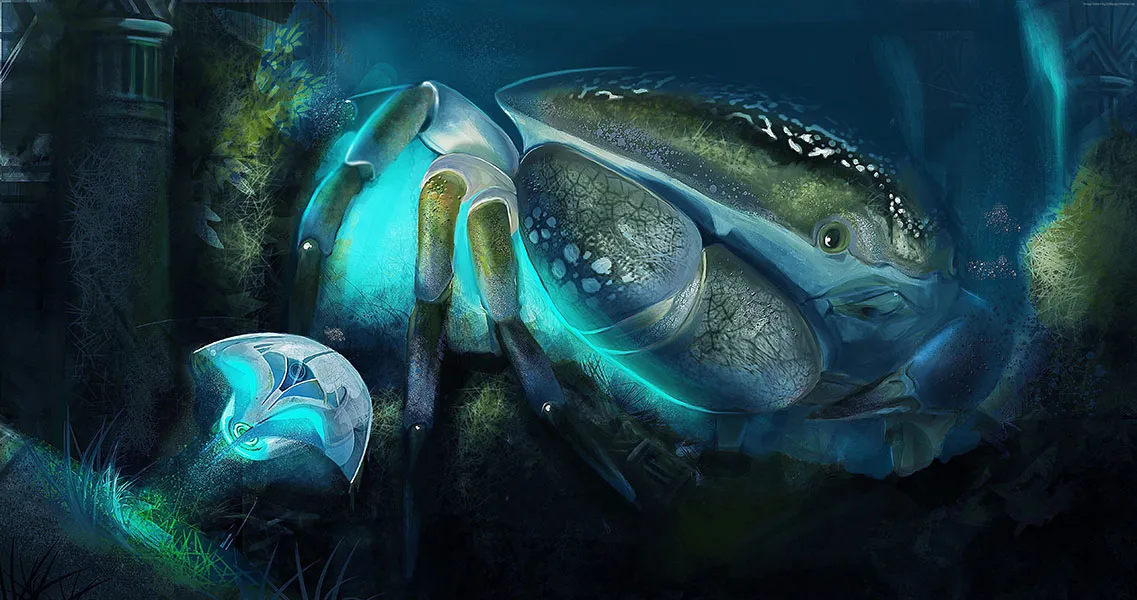 Sea 138