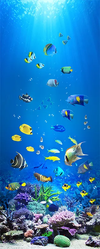 Sea 106