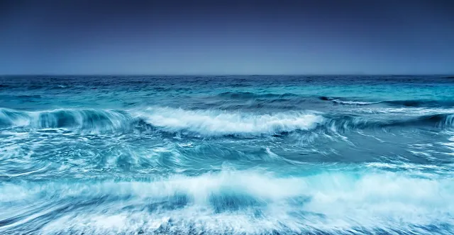 Sea 058