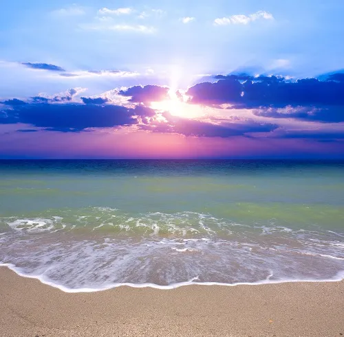 Sea 054