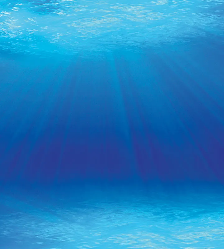 Sea 107