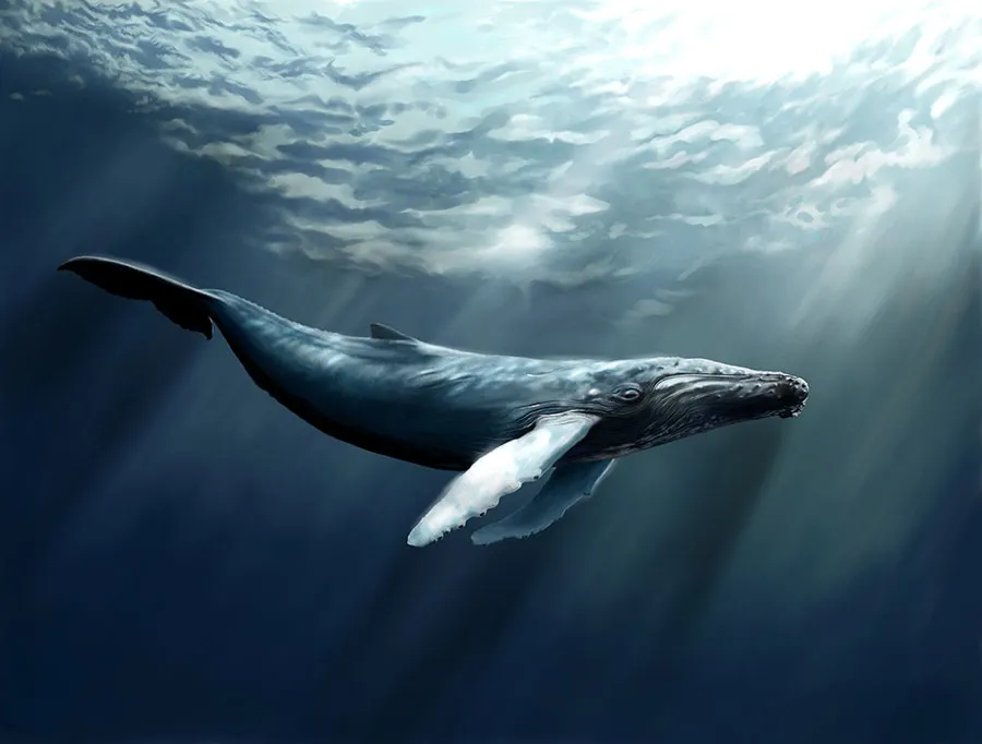 Sea 140