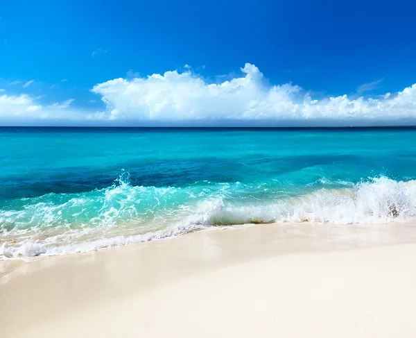 Sea 053