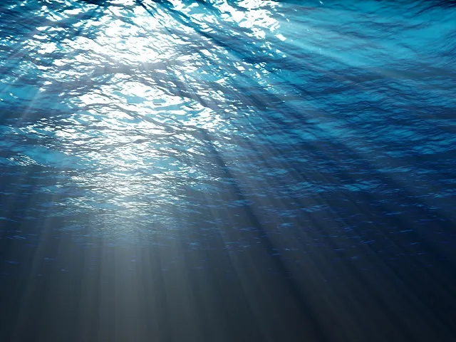 Sea 046