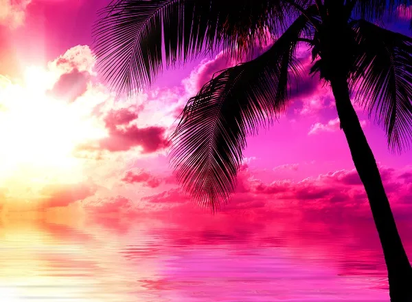 Sea 077