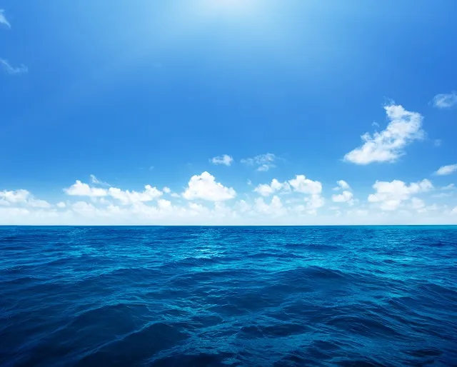 Sea 056