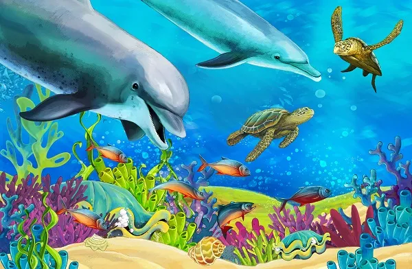 Sea 005