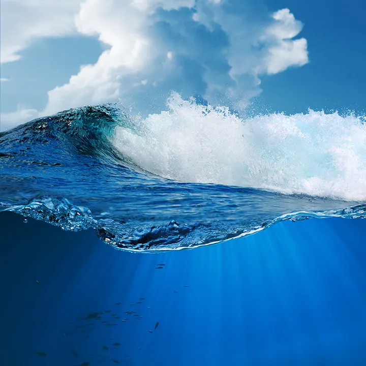 Sea