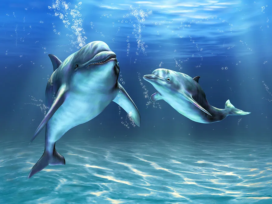 Sea 103