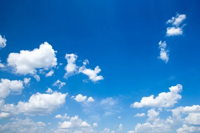 Sky 207
