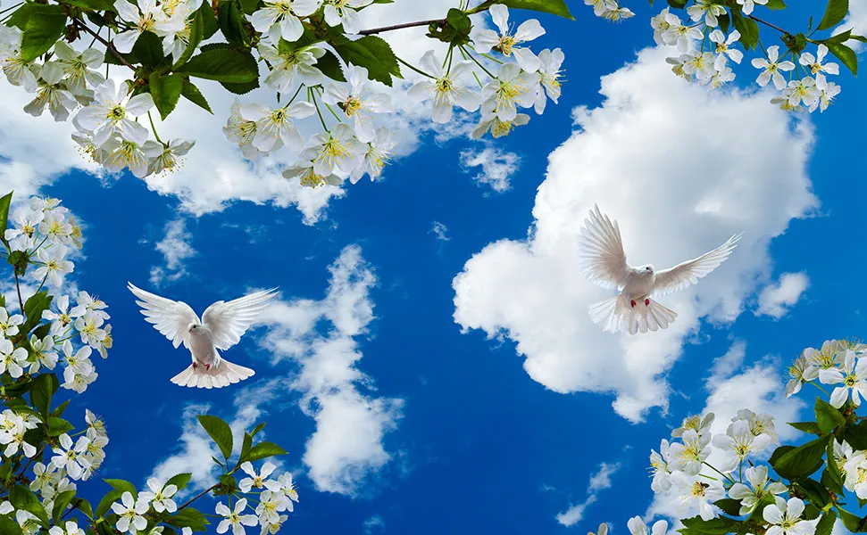 Sky 301