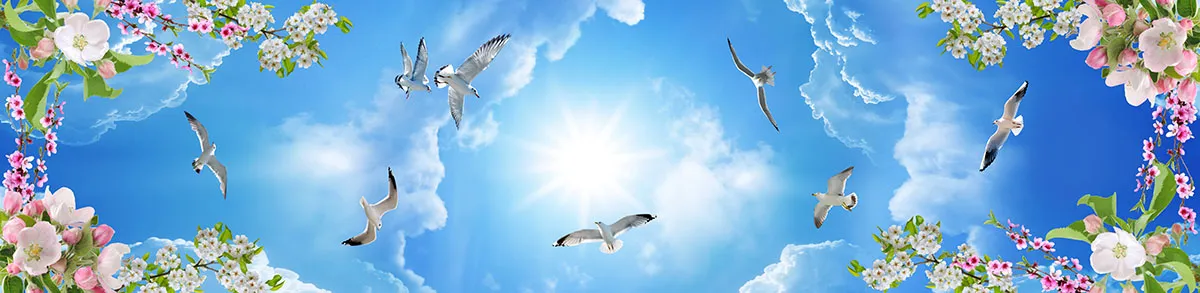 Sky 300
