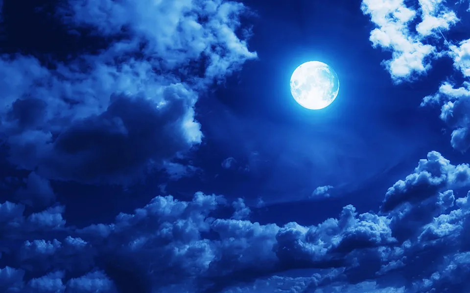 Sky 254