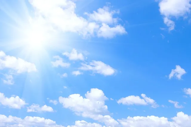 Sky 204