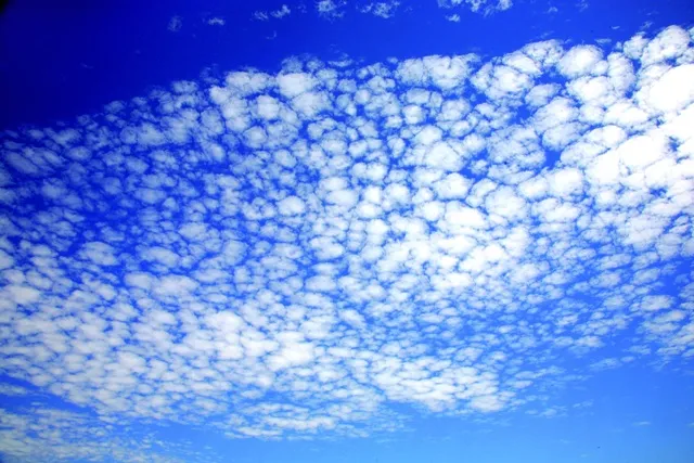 Sky 100