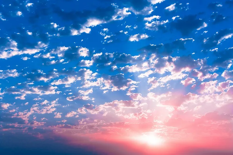 Sky 175