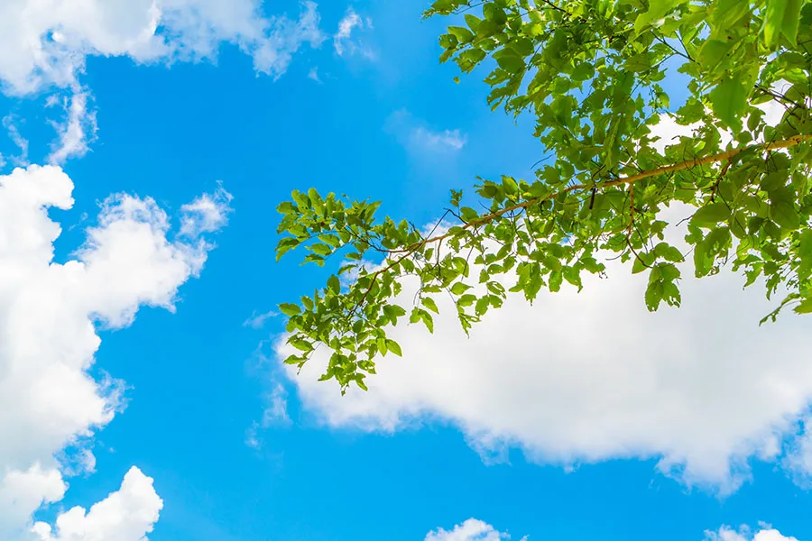 Sky 340