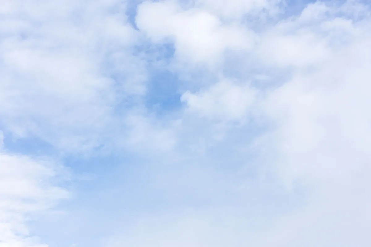 Sky 281