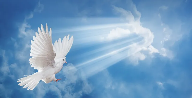 Sky 130