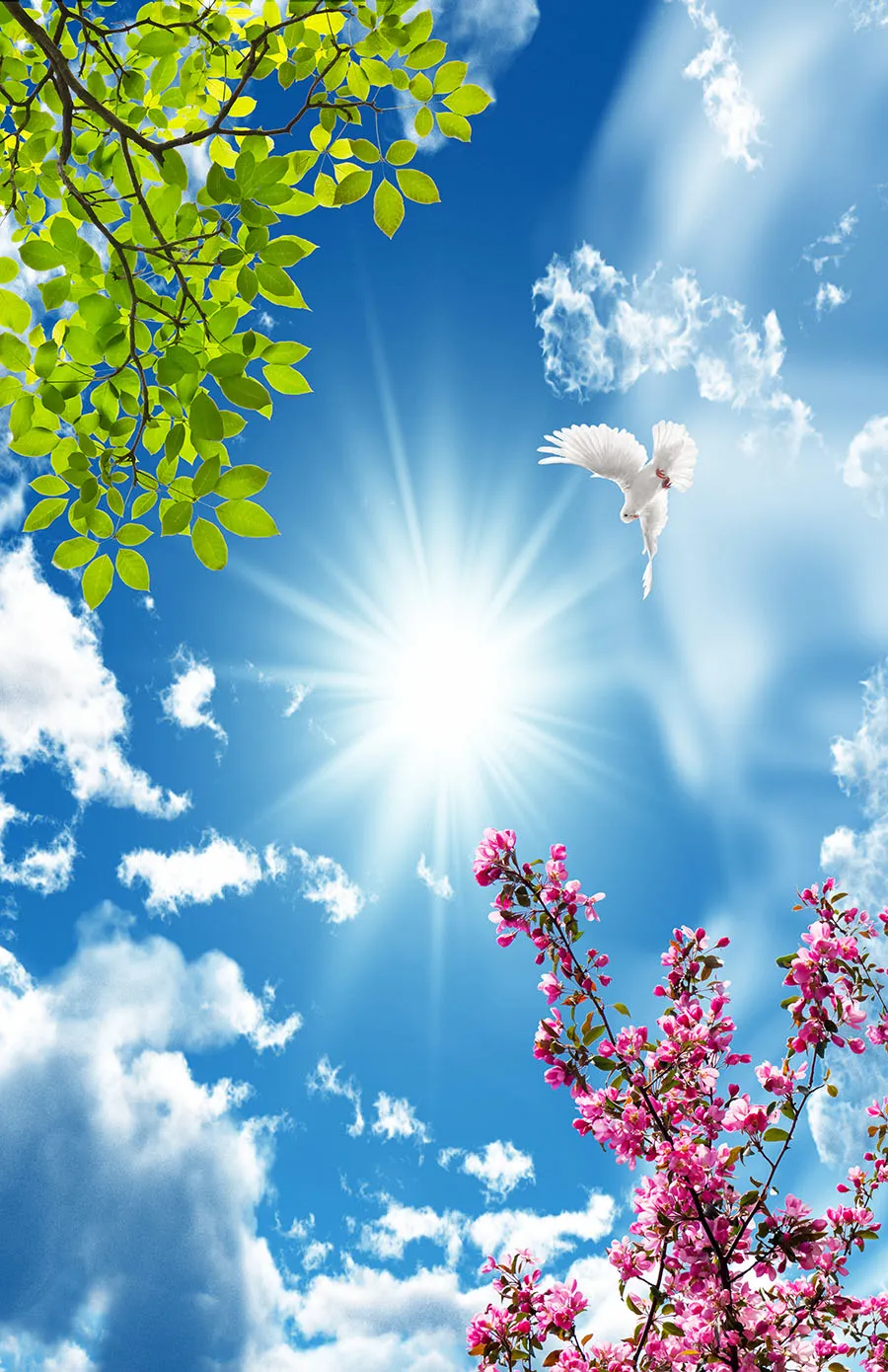 Sky 325