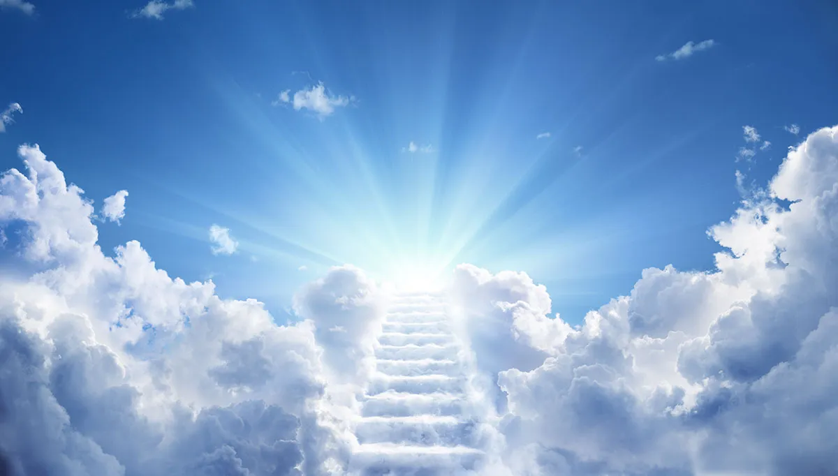 Sky 295