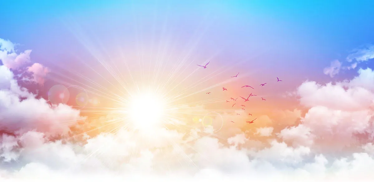 Sky 354