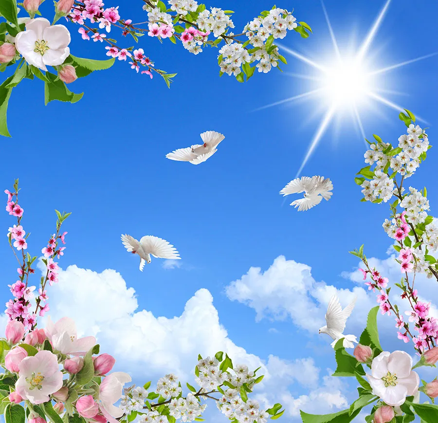 Sky 363