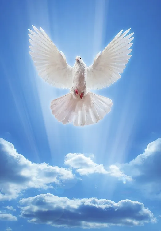 Sky 128