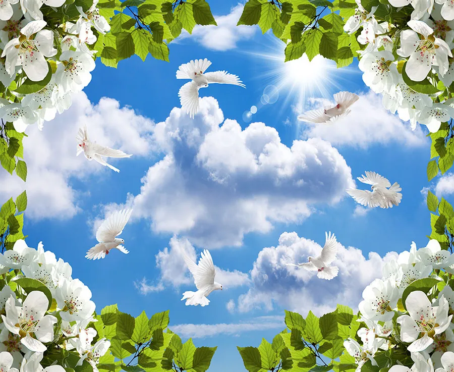 Sky 361