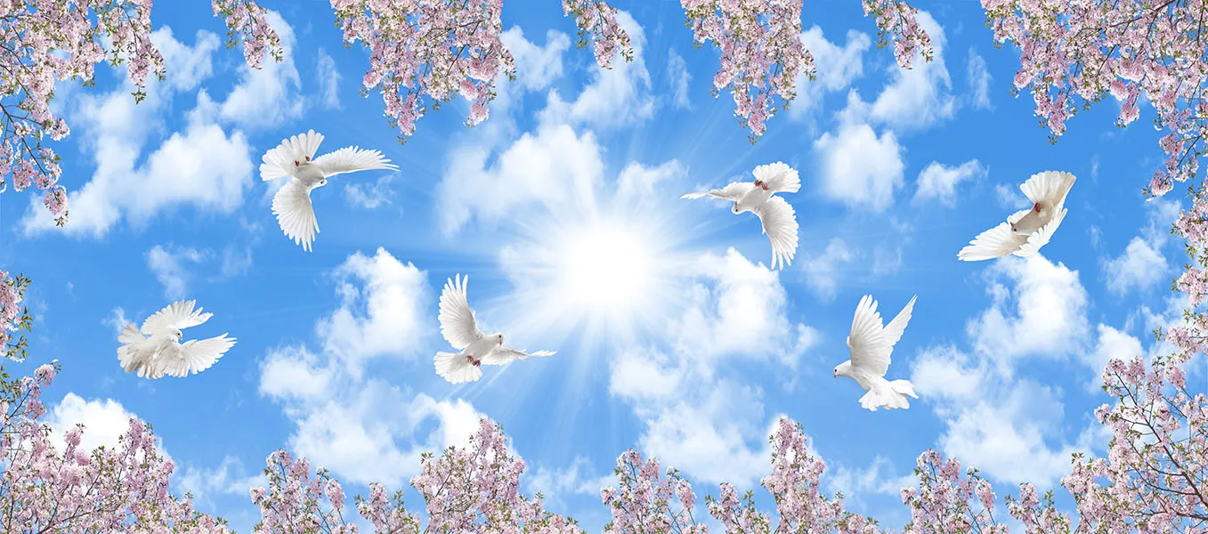 Sky 326