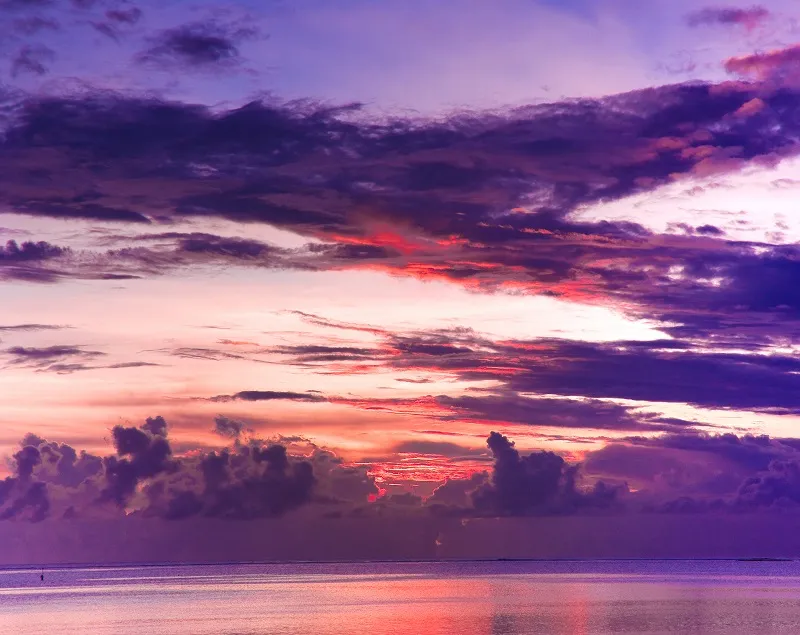 Sky 177