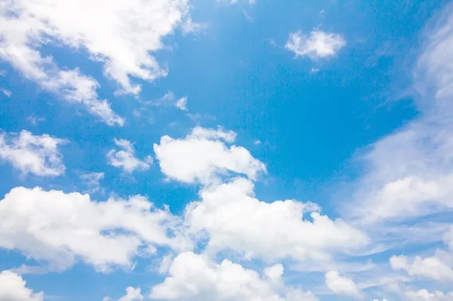 Sky 198