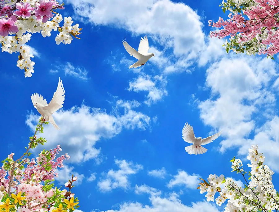 Sky 296