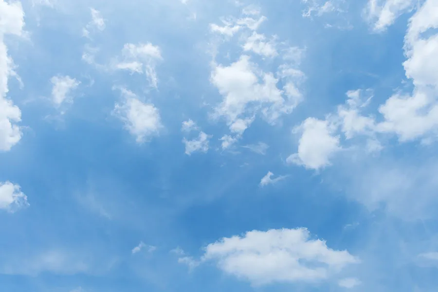 Sky 313