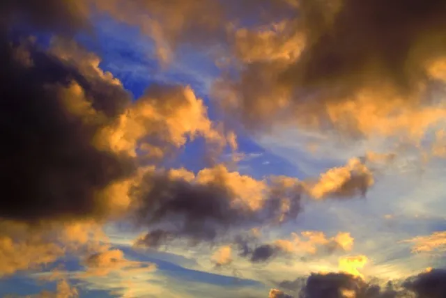 Sky 194