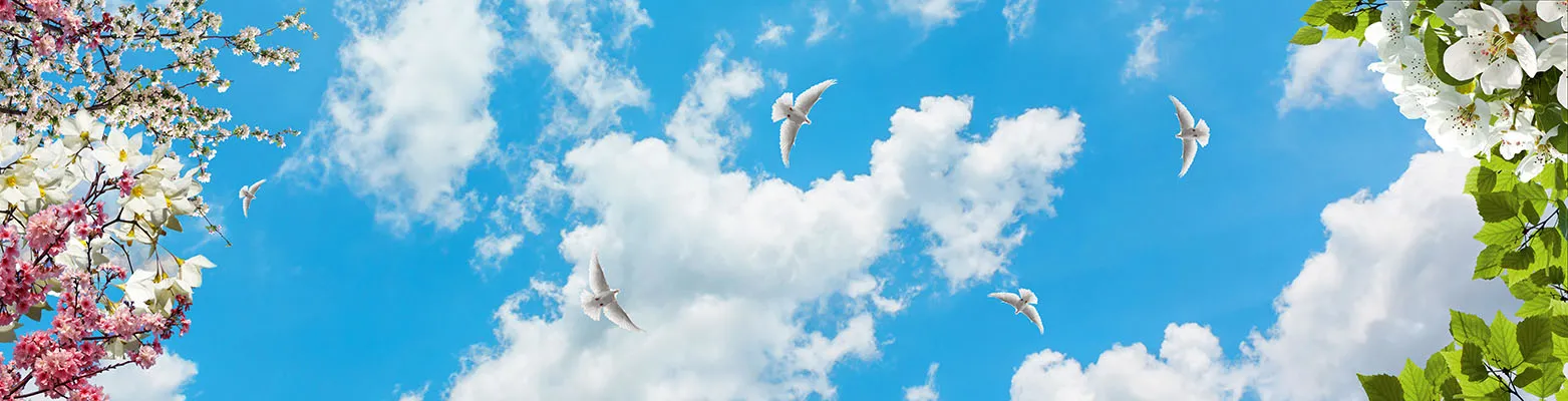 Sky 358