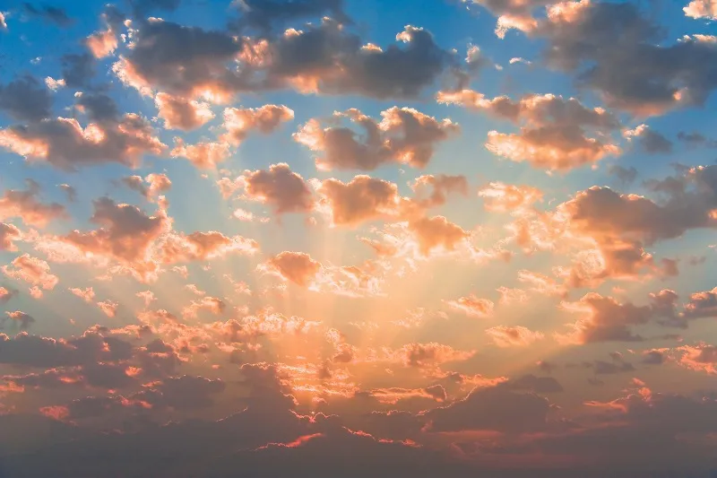 Sky 181