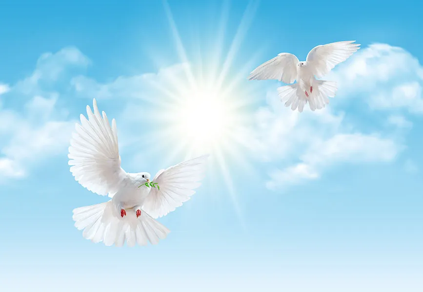 Sky 126 b