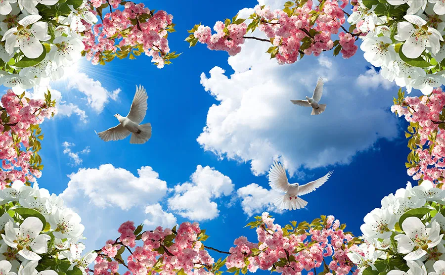 Sky 317
