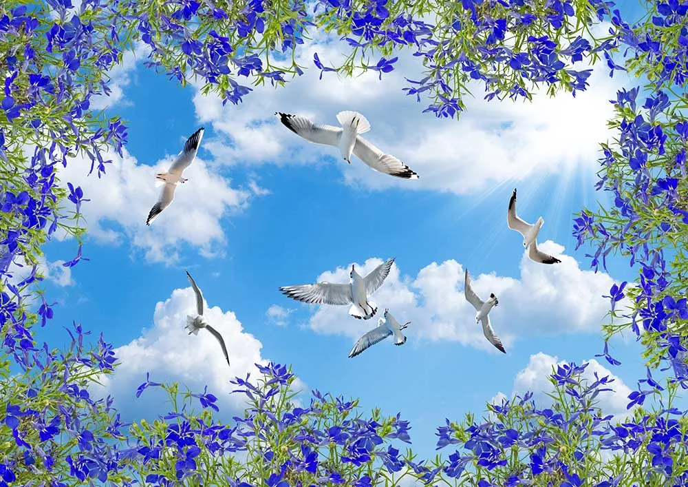 Sky
