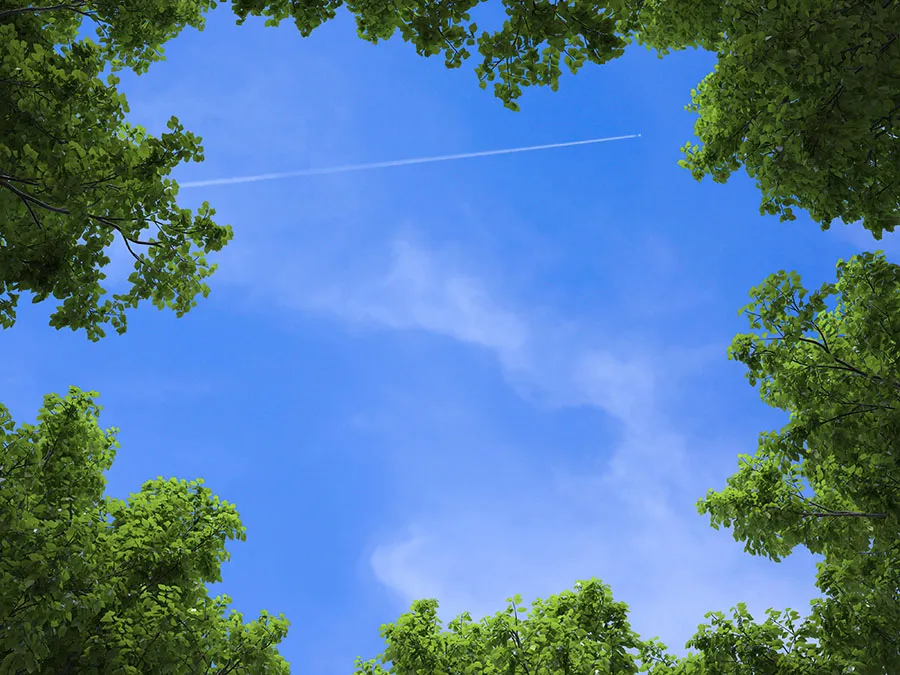 Sky 342