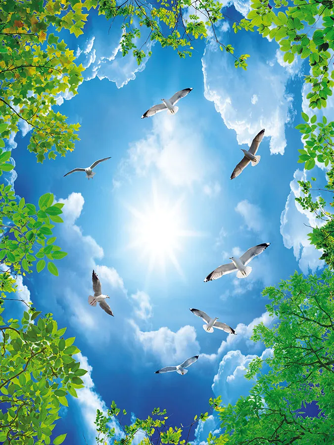 Sky 299