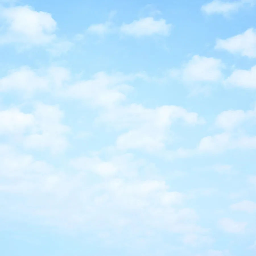Sky 350