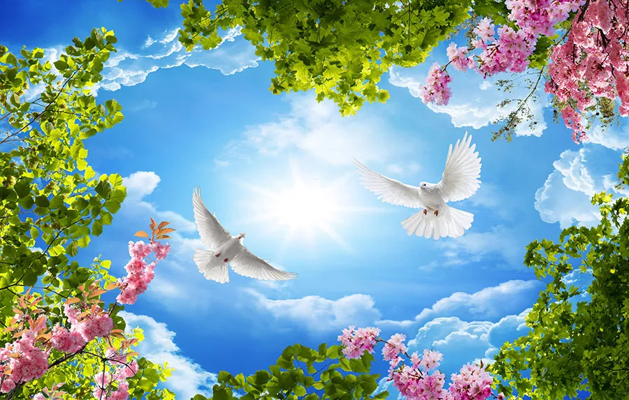 Sky 297