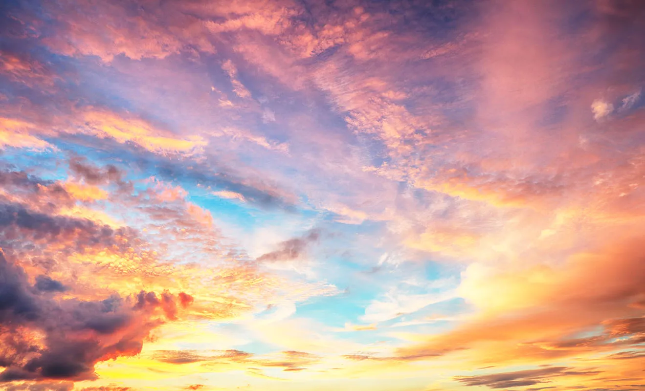 Sky 290
