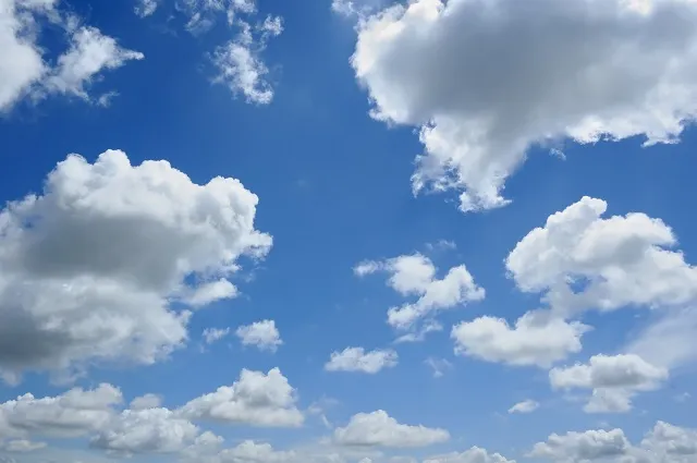 Sky 205