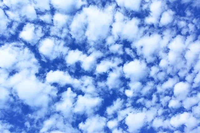 Sky 220
