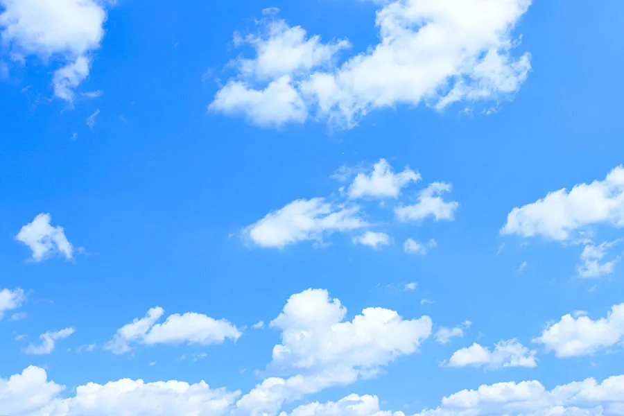 Sky 303