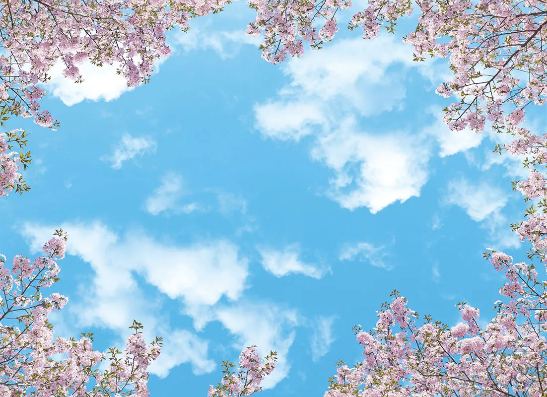 Sky 257