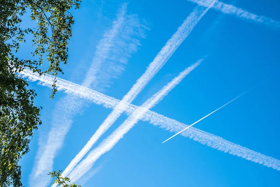 Sky 339